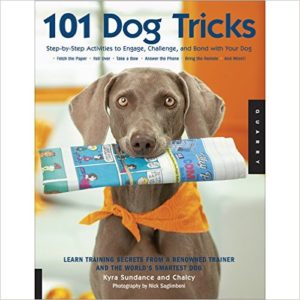 101 dog tricks dog obedience magazine