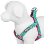 best selling dog harnesses to stop pulling