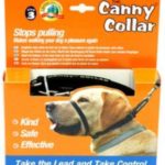 Canny Collar Reviews to Stop Dogs Pulling