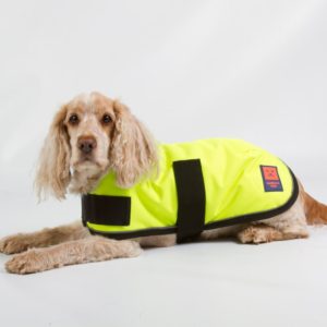 hi vis waterproof dog coats best available