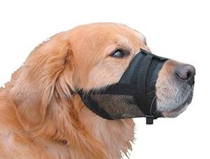 Best Dog Muzzles for biting dogs