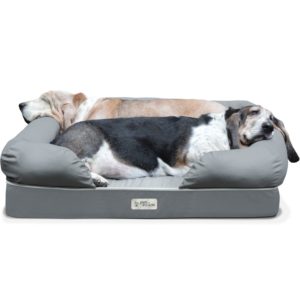 PetFusion Large Dog Bed