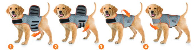 Thundershirt Fitting INstructions Thundershirt Dog Anxiety Vests