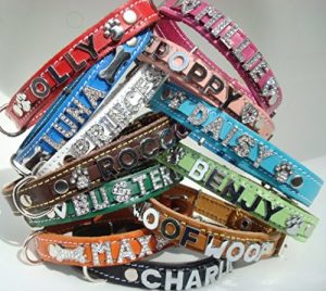 personalised leather dog collars