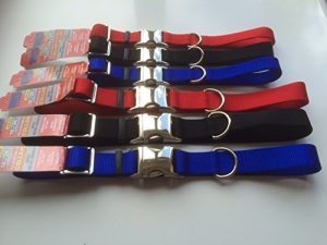 personalised NYLON dog collars