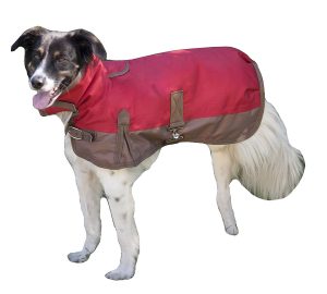 fashion pets waterproof dog coats