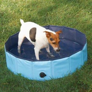best collapsible dog paddling pools