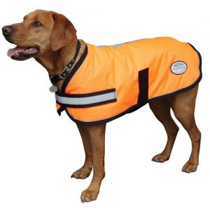 weatherbeeta waterproof dog coat with chest and belly protection