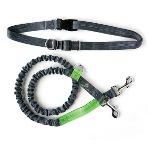  Best Hands Free Dog Leash / Lead