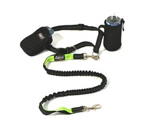 Riddicks One and Two handheld and hands free dog leash