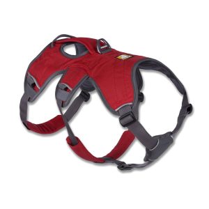 best dog harnesses for running Ruffgear Web Master