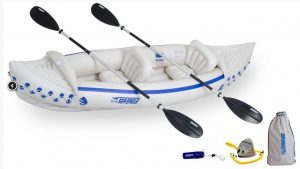Sea Eagle SE300 Best Kayak Dog attachments