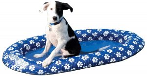 PuddlePaws best pool Floats for Dogs