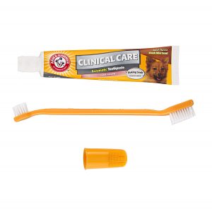 best dog toothpaste and brush
