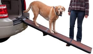 Pet Gear Foldable Dog Ramp