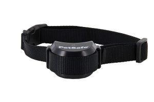 petsafe stay and play wireless collar
