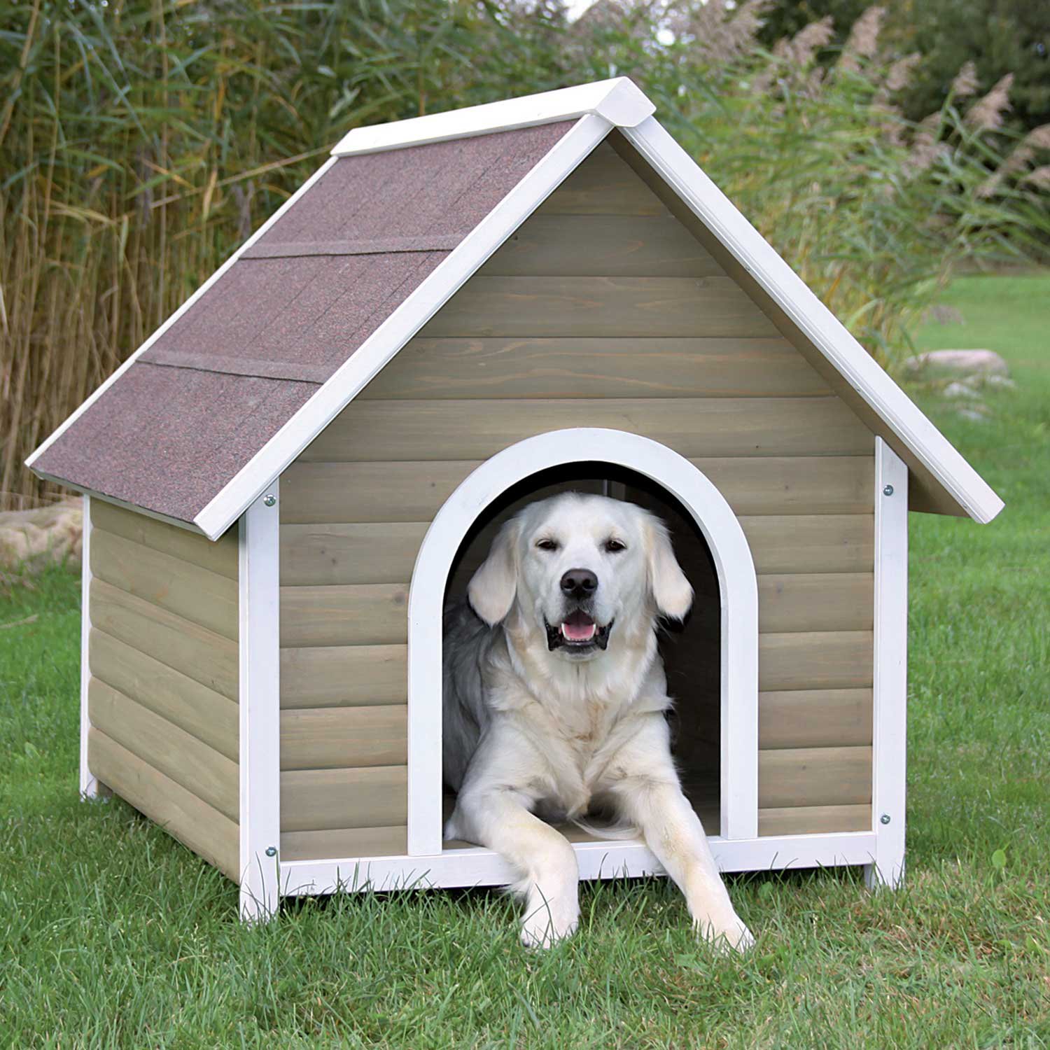 "outdoor dog house"