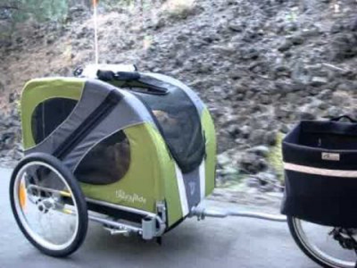 "dog bike trailers"