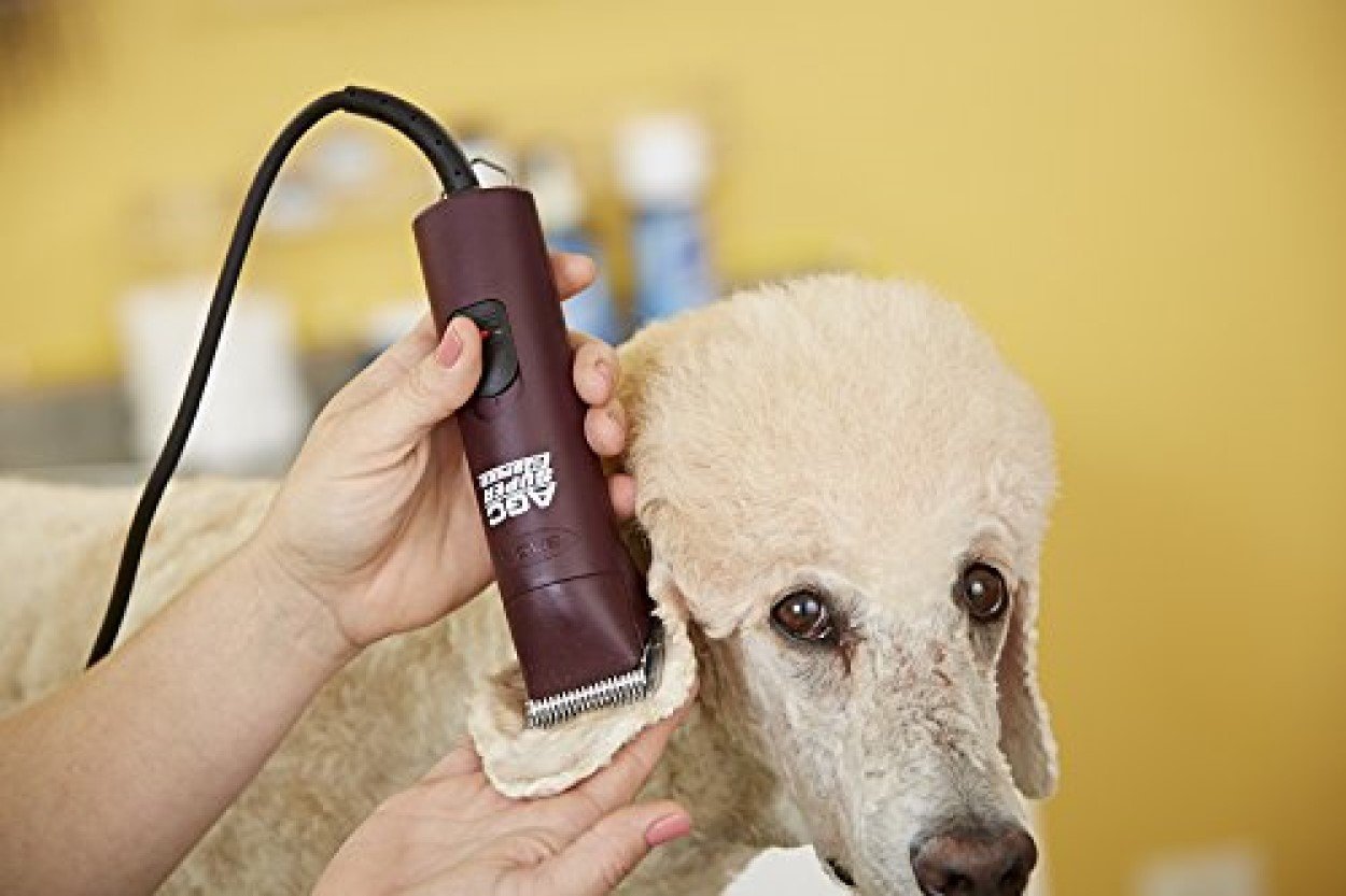 "Professional Dog Clippers"