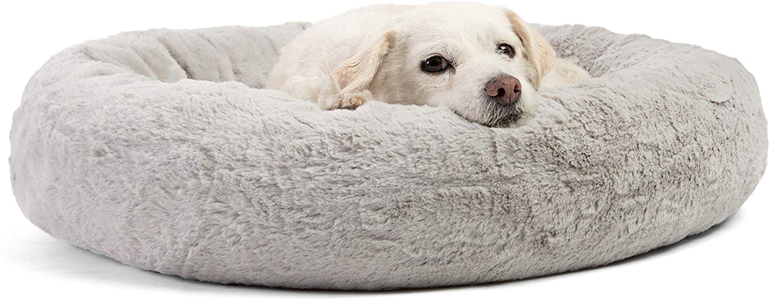 "dog anxiety beds"