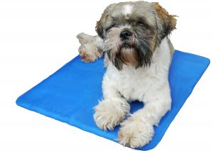 Dog Cooling Mats for Self Cooling in Hot Temperatures