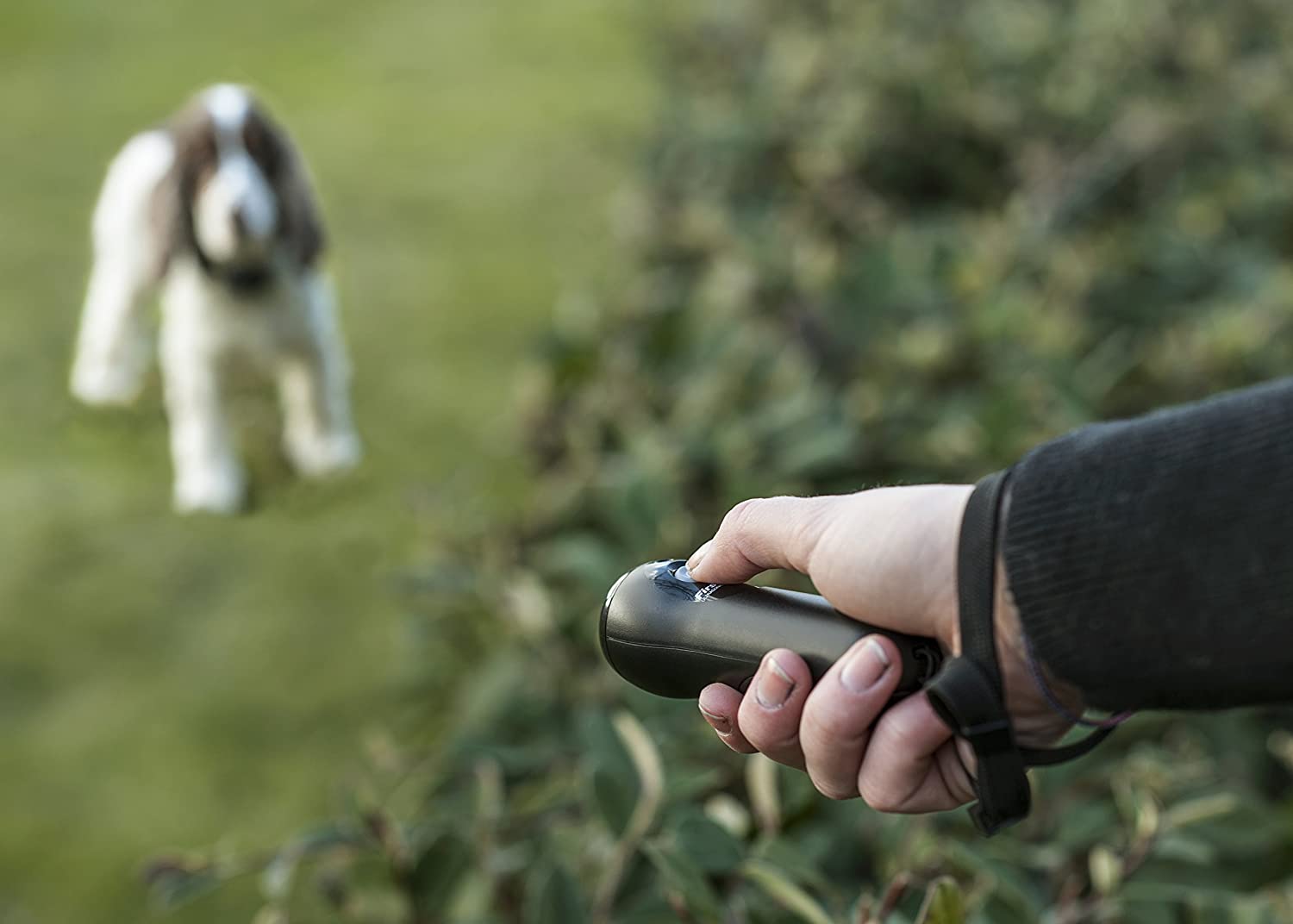 "ultrasonic handheld dog whistles"