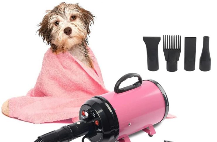 "dog grooming hair dryers"