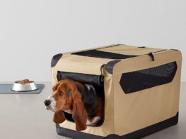 "dog travel crates"