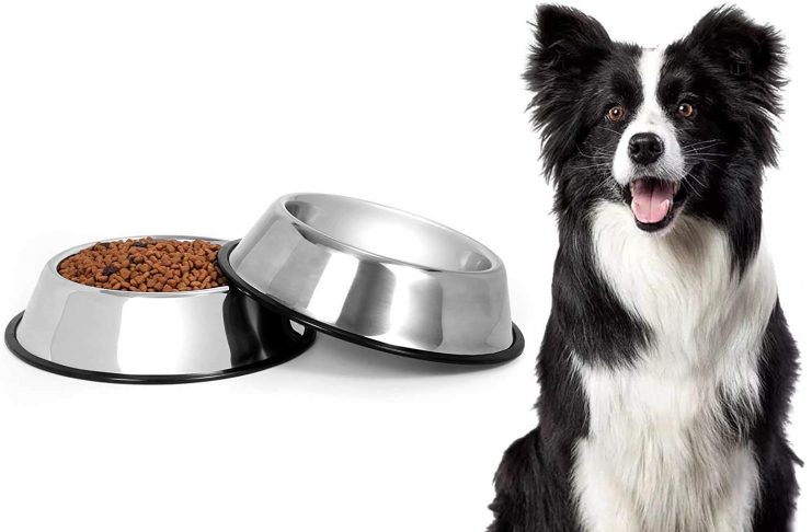 "stainless steel dog bowls"