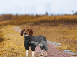 Waterproof Full Body Dog Coats