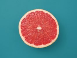 Grapefruit for dogs