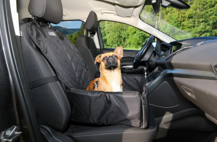 "dog car seat"