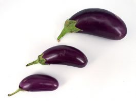 eggplant for dogs