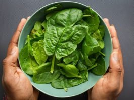 spinach for dogs