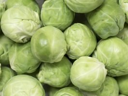 "brussels sprouts for dogs"
