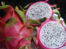 "can dogs eat dragon fruits"