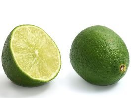 "can dogs eat limes"
