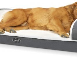 "dog sofa beds"
