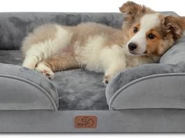 "dog sofas"