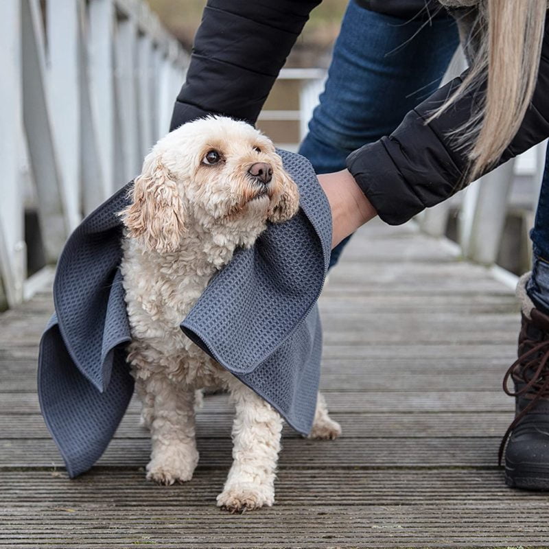 dog towels