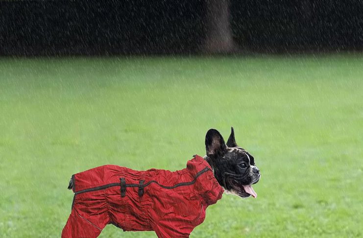 "Dog Waterproof Suits"
