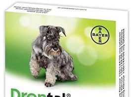 "drontal plus for dogs"