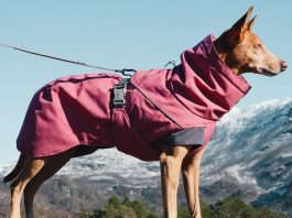 Dog Coat