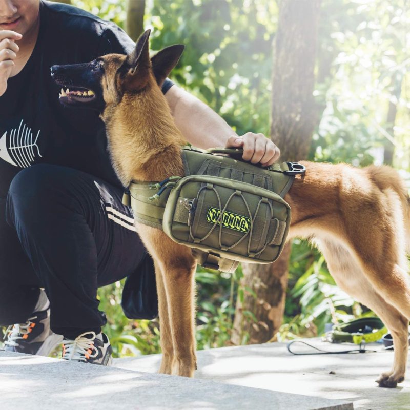 dog backpacks