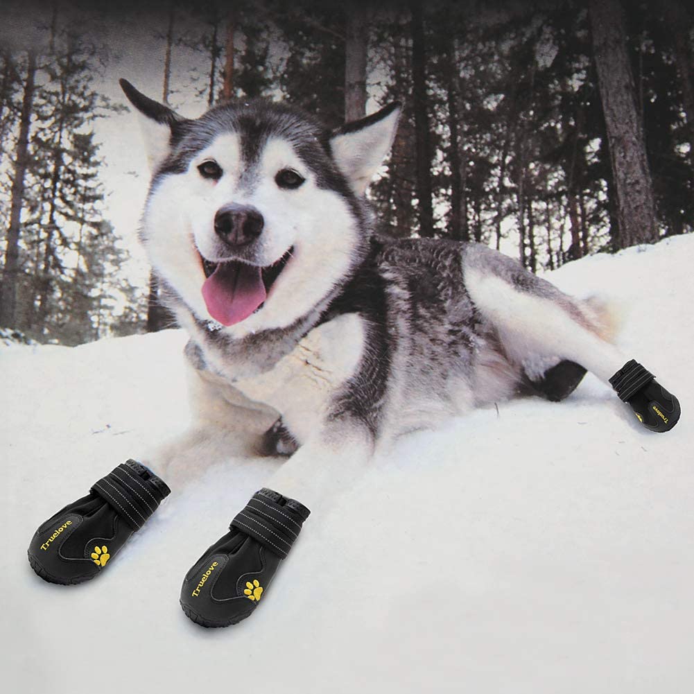 dog walking boots