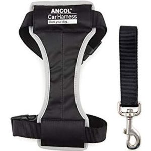 Ancol Padded CAr Harness