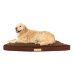 9 Best Large Orthopedic Dog Beds - Buyer's Guide