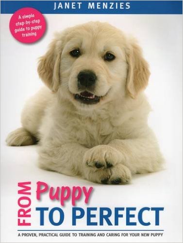 dog obedience magazine from puppy to perfect