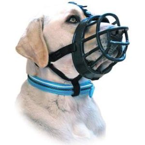 Best Dog Muzzles for biting dogs