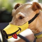 Dog Muzzles for Aggressive Dogs